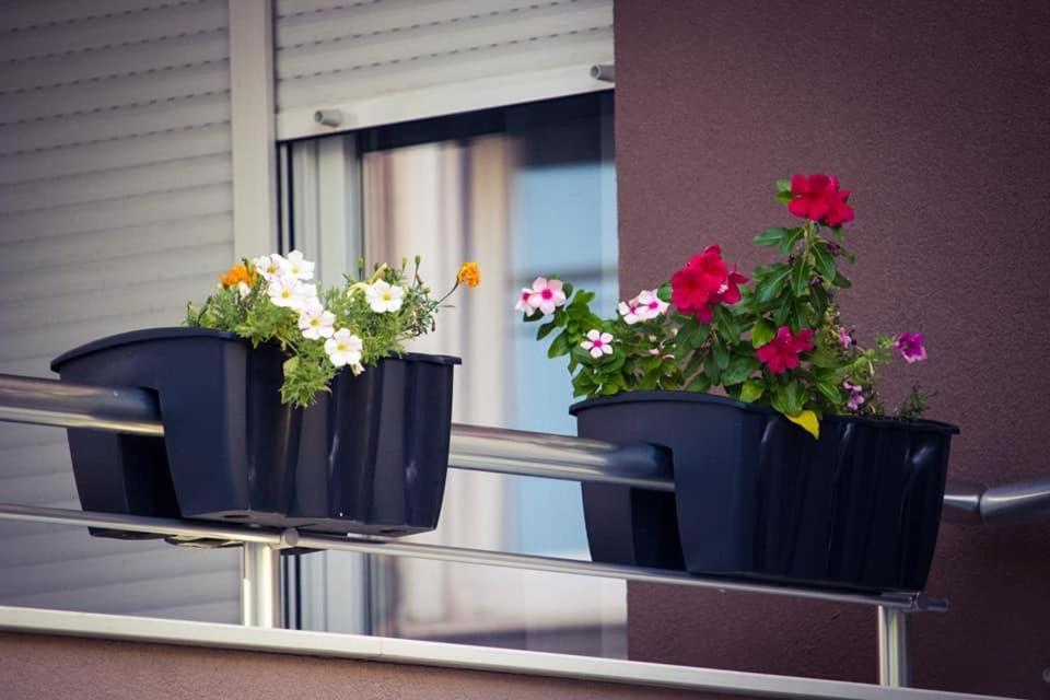 Apartments & Rooms Villa Zaad Мостар Екстериор снимка